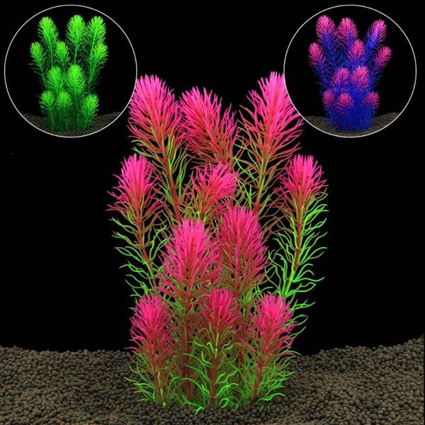 decorations plastic artificial aquarium decoration plant fish tank water grass ornament decor background
decorations plastic artificial aquarium decoration plant fish tank water grass ornament decor background