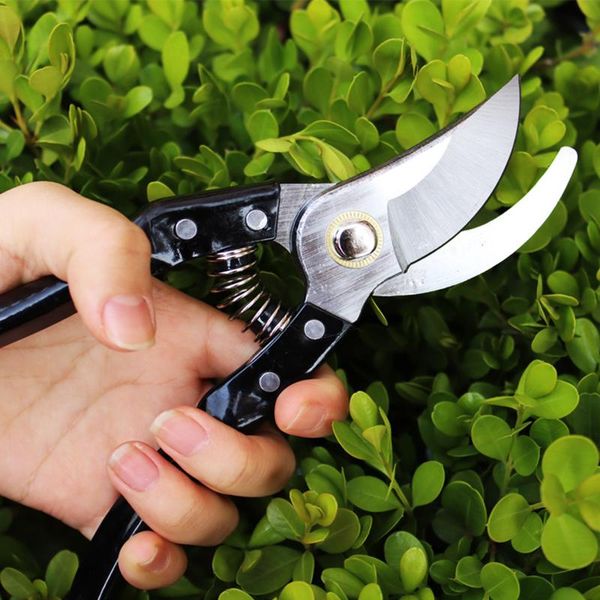 professional hand tool sets 75cr1 stainless steel pruning shears bonsai graft garden scissors fruit trees cut gardening
professional hand tool sets 75cr1 stainless steel pruning shears bonsai graft garden scissors fruit trees cut gardening