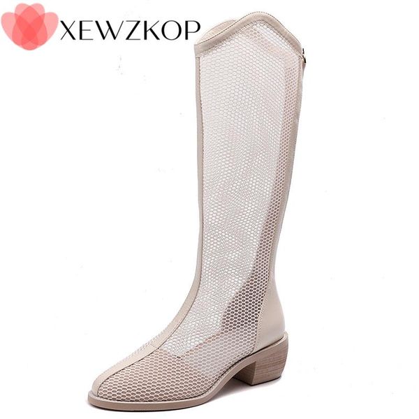 women's fishnet overknee high boots mesh stiletto summer ladies long back zipper pointed toe thigh, Black
women's fishnet overknee high boots mesh stiletto summer ladies long back zipper pointed toe thigh, Black