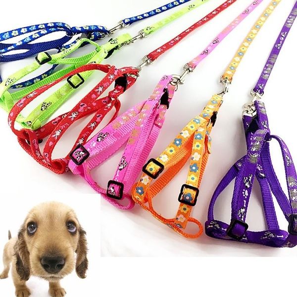 dog collars & leashes 1pc 120cm leash long nylon breakaway pet walking lead rope daily 6 colors supply
dog collars & leashes 1pc 120cm leash long nylon breakaway pet walking lead rope daily 6 colors supply