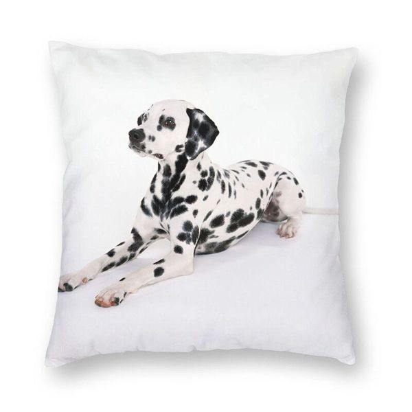 cute dalmatian dog pet print cushion cover 40x40 decoration 3d animal pattern throw pillow case for car double-sided cushion/decorative
cute dalmatian dog pet print cushion cover 40x40 decoration 3d animal pattern throw pillow case for car double-sided cushion/decorative