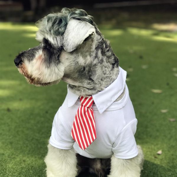 dog apparel striped tie for dogs puppies small animals little medium adjustable pet cat collar chihuahua yorkshire bows accessories supplies
dog apparel striped tie for dogs puppies small animals little medium adjustable pet cat collar chihuahua yorkshire bows accessories supplies