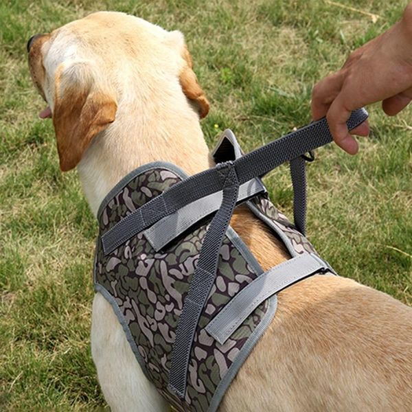 dog collars & leashes soft adjustable harness pet large walk out vest for explosion-proof chest pets accessorie
dog collars & leashes soft adjustable harness pet large walk out vest for explosion-proof chest pets accessorie