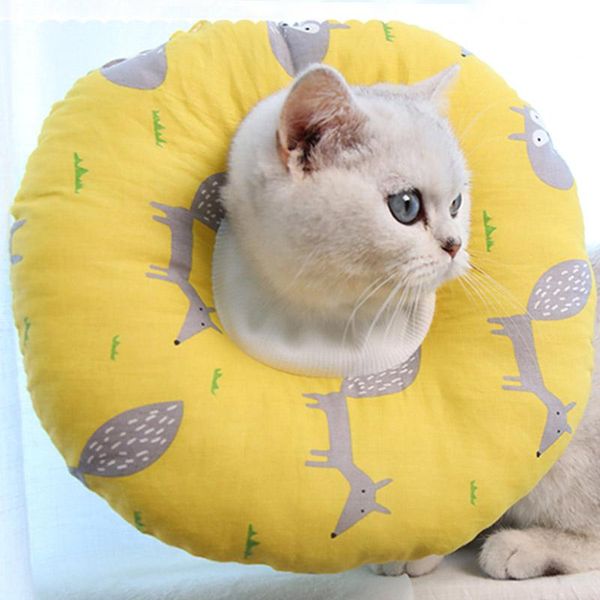 cat collars & leads pet protective recovery collar dog anti licking elizabeth for remedy grooming g10
cat collars & leads pet protective recovery collar dog anti licking elizabeth for remedy grooming g10