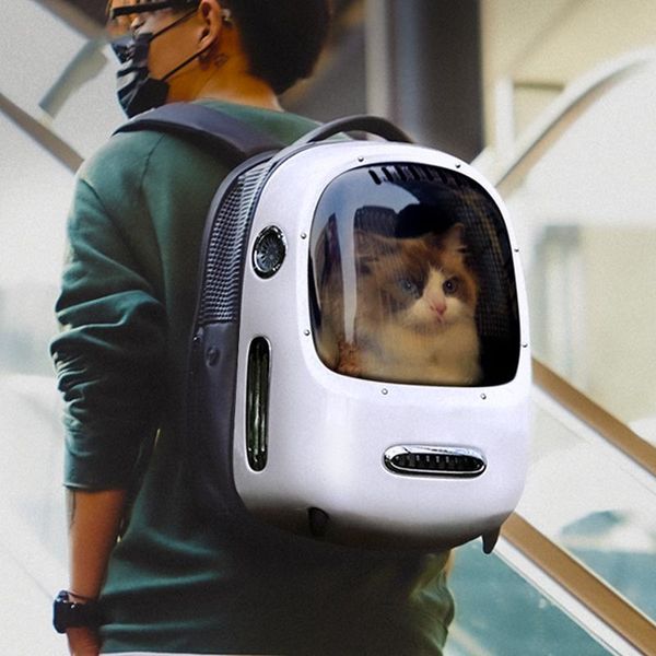 cat carriers,crates & houses petco pet carrier backpack breathable travel outdoor shoulder bag for small dogs cats portable packaging carryi
cat carriers,crates & houses petco pet carrier backpack breathable travel outdoor shoulder bag for small dogs cats portable packaging carryi
