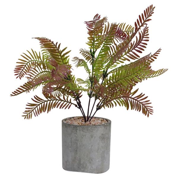 decorative flowers & wreaths asparagus fern arrangement home decor party nordic style fake plant pot mini potted indoor artificial ornament
decorative flowers & wreaths asparagus fern arrangement home decor party nordic style fake plant pot mini potted indoor artificial ornament