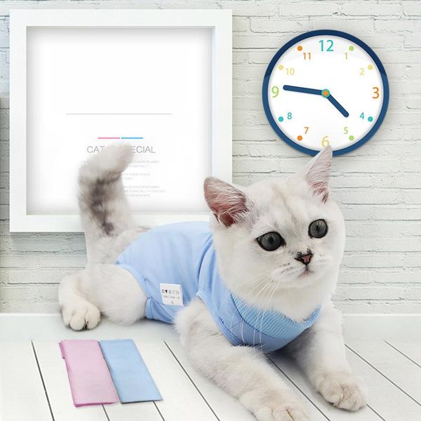 cat costumes vest kitten gown suit weaning pet clothes anti-licking elastic summer clothing
cat costumes vest kitten gown suit weaning pet clothes anti-licking elastic summer clothing