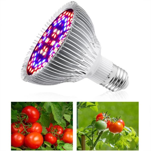 grow lights e27 led light 30w 50w 80w full spectrum growing bulb for indoor hydroponics flowers plants growth lighting
grow lights e27 led light 30w 50w 80w full spectrum growing bulb for indoor hydroponics flowers plants growth lighting