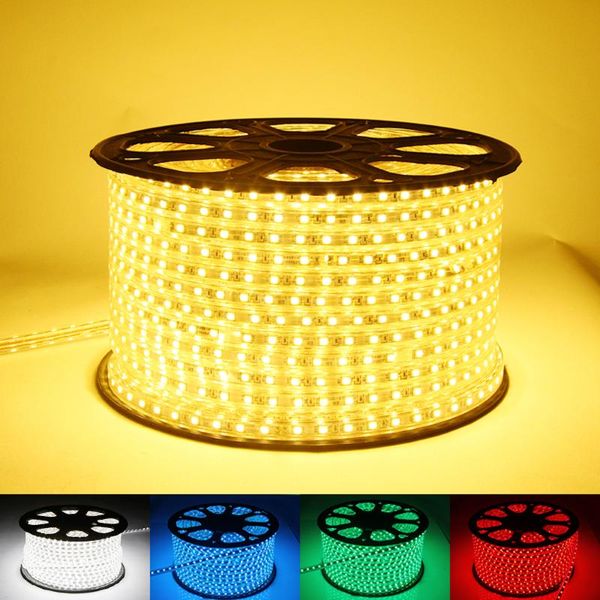 fanlive 100m waterproof 220v 230v 240v flexible ip68 rgb smd led strip light for plants ribbon 60leds/m neon flex strips
fanlive 100m waterproof 220v 230v 240v flexible ip68 rgb smd led strip light for plants ribbon 60leds/m neon flex strips