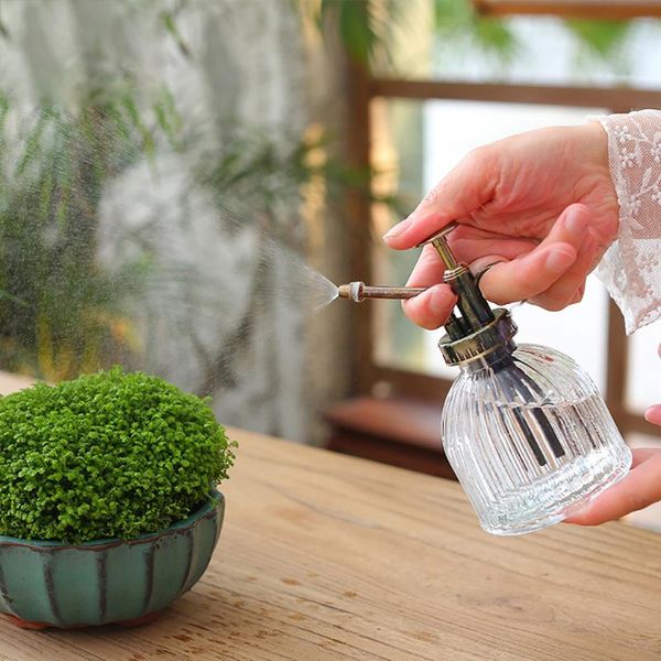 watering equipments 200ml plant flower pot spray bottle sprayer planting succulents kettle can for flowers garden tools #gm
watering equipments 200ml plant flower pot spray bottle sprayer planting succulents kettle can for flowers garden tools #gm