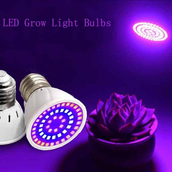 220v full spectrum led plant grow light bulbs phyto lamp for indoor garden plants flower hydroponics tent lighting lights
220v full spectrum led plant grow light bulbs phyto lamp for indoor garden plants flower hydroponics tent lighting lights