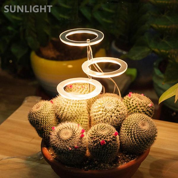grow lights angel ring led light full spectrum phyto lamp 5v usb phytolamp for plants growth lighting indoor plant seedling
grow lights angel ring led light full spectrum phyto lamp 5v usb phytolamp for plants growth lighting indoor plant seedling