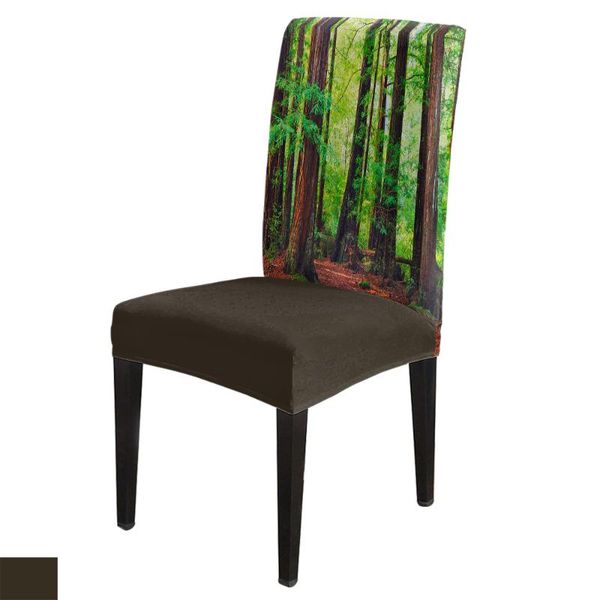 chair covers green forest zone spandex elastic dining slipcover removable kitchen seat case stretch cover for banquet
chair covers green forest zone spandex elastic dining slipcover removable kitchen seat case stretch cover for banquet