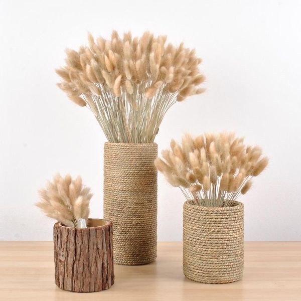 decorative flowers & wreaths real wheat ear flower decoration natural pampas tail grass dried for wedding party diy craft scrapbook b
decorative flowers & wreaths real wheat ear flower decoration natural pampas tail grass dried for wedding party diy craft scrapbook b