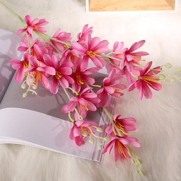 model magnolia home decoration bouquet wedding scene decorative flower butterfly orchid flowers & wreaths
model magnolia home decoration bouquet wedding scene decorative flower butterfly orchid flowers & wreaths