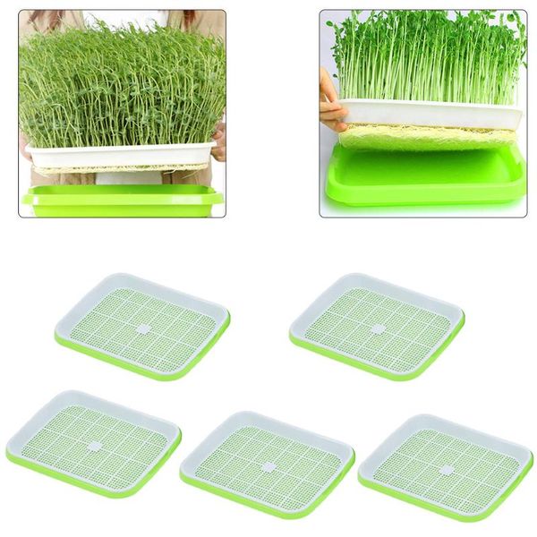 planters & pots 5pcs seedling tray seed starter green double layer arc soilless cultivation for gardening bonsai grass plant hydroponics
planters & pots 5pcs seedling tray seed starter green double layer arc soilless cultivation for gardening bonsai grass plant hydroponics