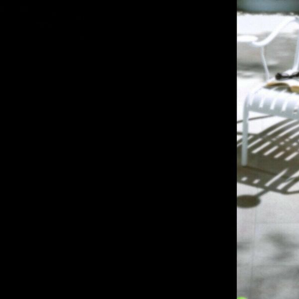 window stickers 1 roll film for nursery room supplies blackout cling privacy
window stickers 1 roll film for nursery room supplies blackout cling privacy