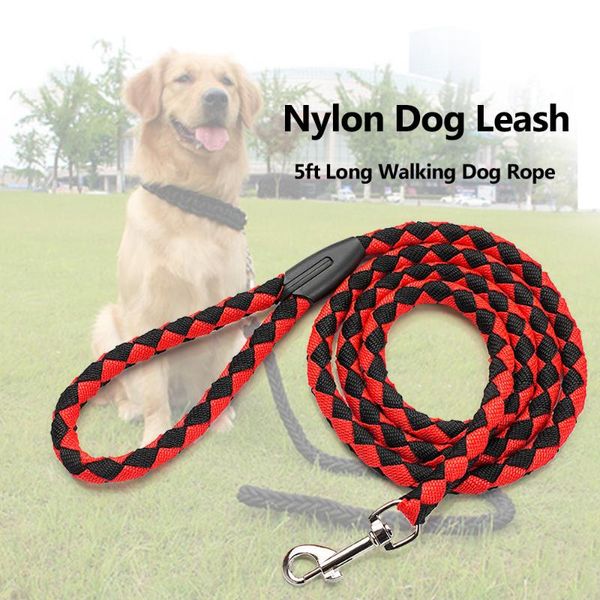 15ocm nylon training dog leash webbing recall long lead line pet traction rope great for teaching camping pets collar leashes collars &
15ocm nylon training dog leash webbing recall long lead line pet traction rope great for teaching camping pets collar leashes collars &