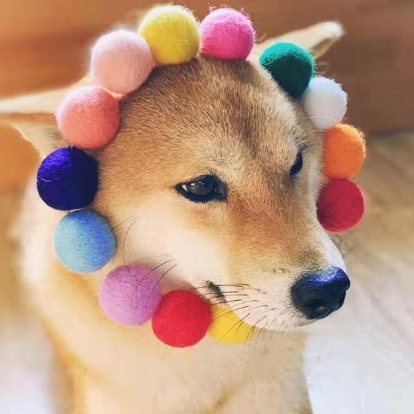 rainbow color fur ball dog collars wool autumn and winter pet collar cat accessories necklace & leashes
rainbow color fur ball dog collars wool autumn and winter pet collar cat accessories necklace & leashes