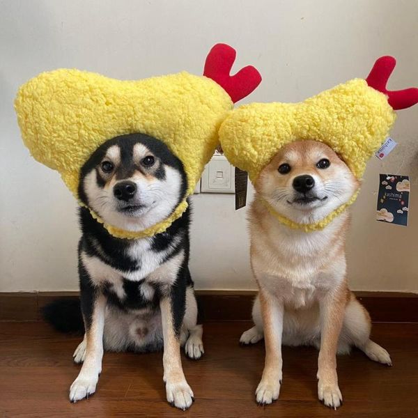 cute chicken leg love shape fleece pet tempura hat cat dog warm selling headdress apparel
cute chicken leg love shape fleece pet tempura hat cat dog warm selling headdress apparel
