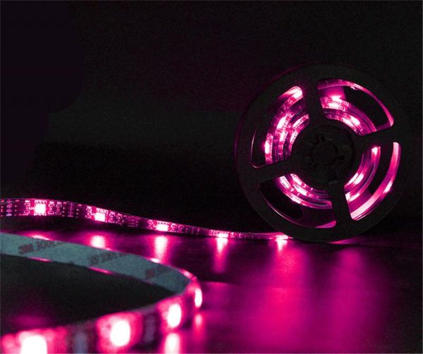 strips bluetooth led strip light rgb smd 2835 lights tape flexible non waterproof ribbon for home christmas decoratio
strips bluetooth led strip light rgb smd 2835 lights tape flexible non waterproof ribbon for home christmas decoratio