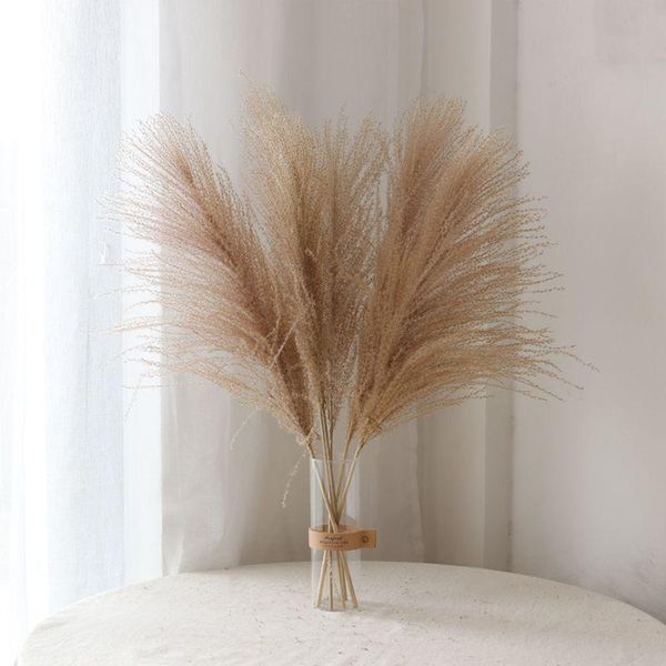 20pcs dried flowers pampas grass bunch pure natural reed window display wedding decor flower no vase decorative & wreaths
20pcs dried flowers pampas grass bunch pure natural reed window display wedding decor flower no vase decorative & wreaths