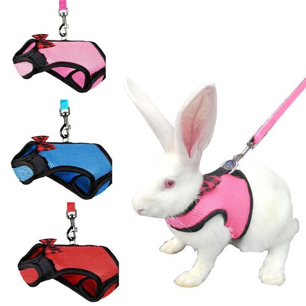 cat collars & leads soft harness vest style strap with lead for small animals kitty pet and little walking
cat collars & leads soft harness vest style strap with lead for small animals kitty pet and little walking