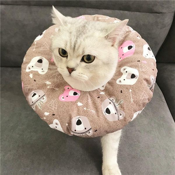 cat collars & leads elizabethan collar adjustable neck cotton soft pet cone e-collar for and dog
cat collars & leads elizabethan collar adjustable neck cotton soft pet cone e-collar for and dog