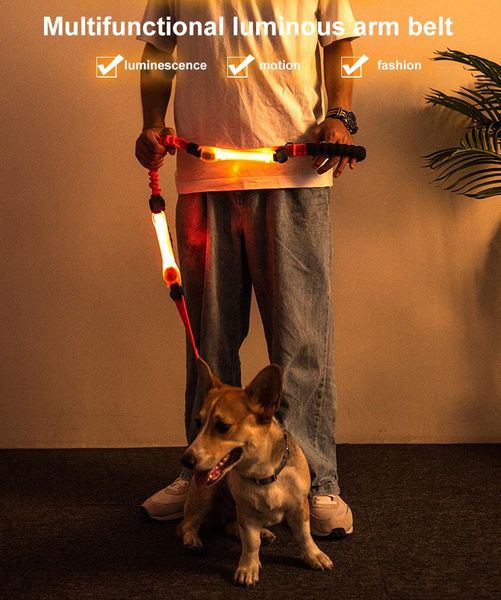 luminous dog collar led pet avoid accidents safety night light anti lost dogs puppy accessories collars & leashes
luminous dog collar led pet avoid accidents safety night light anti lost dogs puppy accessories collars & leashes