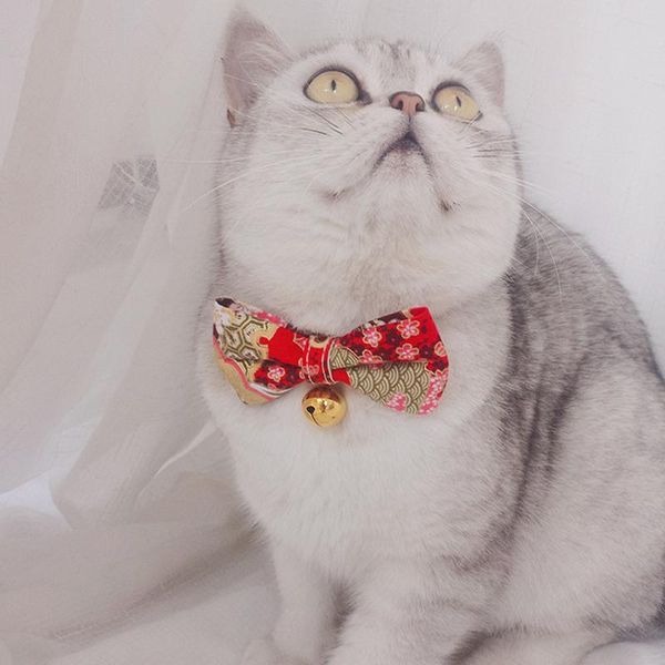 cat collars & leads cartoon shiba bowtie collar for cats cute japan style dog necklace with bell pet scarf sweet puppy neck decor yorkie acc
cat collars & leads cartoon shiba bowtie collar for cats cute japan style dog necklace with bell pet scarf sweet puppy neck decor yorkie acc