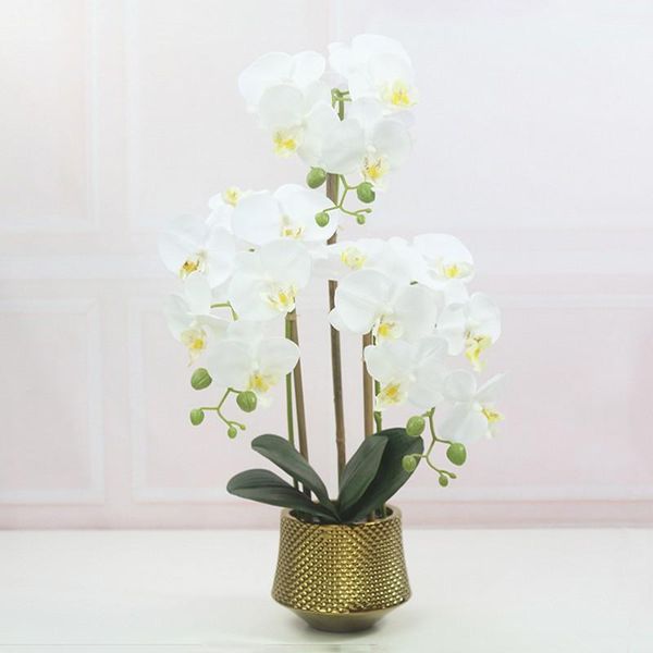 decorative flowers & wreaths artificial fake flower potted plant bonsai simulation phalaenopsis wedding party garden home ornamental pograph
decorative flowers & wreaths artificial fake flower potted plant bonsai simulation phalaenopsis wedding party garden home ornamental pograph