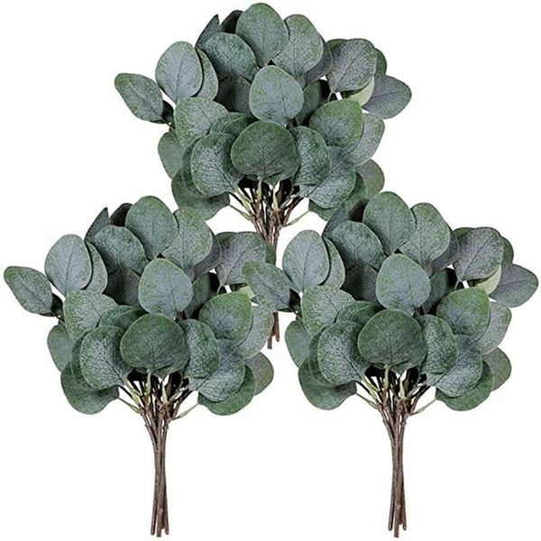 pcs artificial eucalyptus leaves stems bulk greenery faux face silver dollar plant branch decorative flowers & wreaths
pcs artificial eucalyptus leaves stems bulk greenery faux face silver dollar plant branch decorative flowers & wreaths