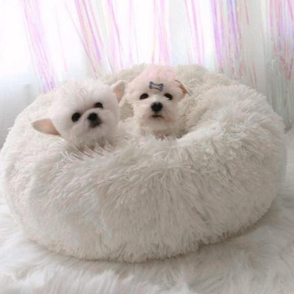 cat beds & furniture pet dog washable bed round breathable lounger sofa for dogs super soft plush pads mat warm sleeping blanket
cat beds & furniture pet dog washable bed round breathable lounger sofa for dogs super soft plush pads mat warm sleeping blanket