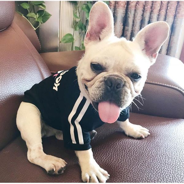 dog apparel pet sweatshirt for hoody clothes yorkies puppy t-shirt small dogs bulldogs soccer jerseys
dog apparel pet sweatshirt for hoody clothes yorkies puppy t-shirt small dogs bulldogs soccer jerseys