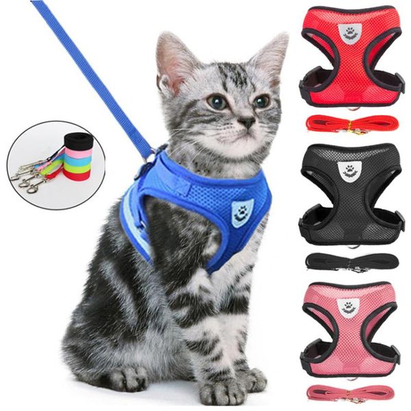 cat collars & leads mewoofun harness leash dog adjustable breathable kitten cats small puppy nylon mesh vest walking lead
cat collars & leads mewoofun harness leash dog adjustable breathable kitten cats small puppy nylon mesh vest walking lead