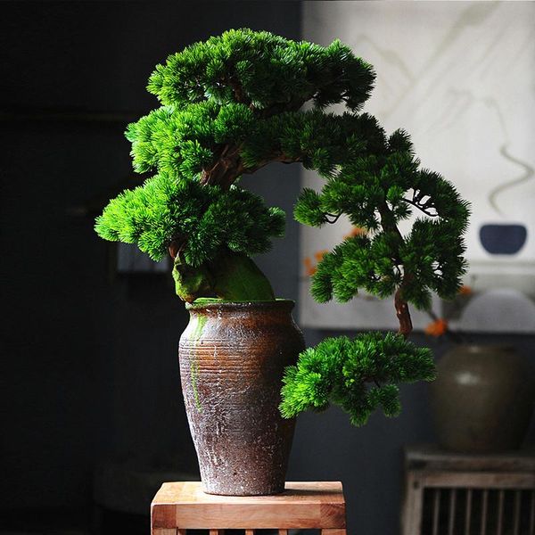 decorative flowers & wreaths 70cm artificial big pine tree potted plants simulation deskdecoration green rare bonsai el office home deco
decorative flowers & wreaths 70cm artificial big pine tree potted plants simulation deskdecoration green rare bonsai el office home deco