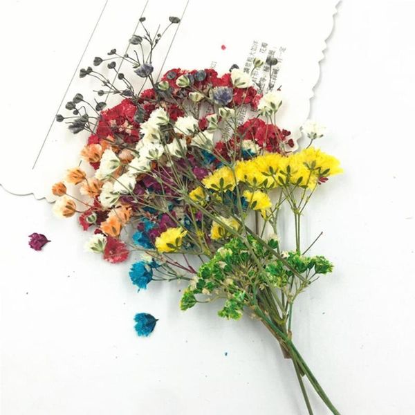 decorative flowers & wreaths 10pcs dried babysbreath diy handmade bookmark frame decor art paper making scrapbooking greeting card too
decorative flowers & wreaths 10pcs dried babysbreath diy handmade bookmark frame decor art paper making scrapbooking greeting card too