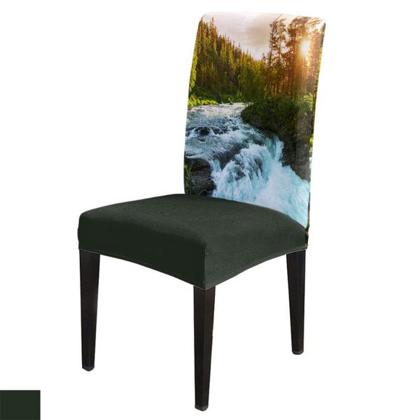 chair covers dining room cover jungle mountain forest table chairs for kitchen tablecloth home decor
chair covers dining room cover jungle mountain forest table chairs for kitchen tablecloth home decor