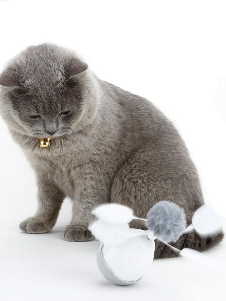 cat toys direct selling double head can be exchanged electric tumbler spinning ball funny toy
cat toys direct selling double head can be exchanged electric tumbler spinning ball funny toy