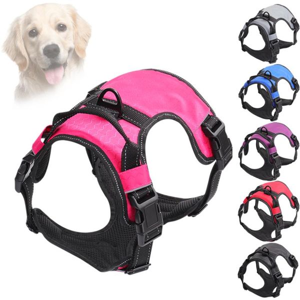 dog collars & leashes adjustable harness leash reflective pet for collar padded extra large medium puppy dogs accessoires
dog collars & leashes adjustable harness leash reflective pet for collar padded extra large medium puppy dogs accessoires