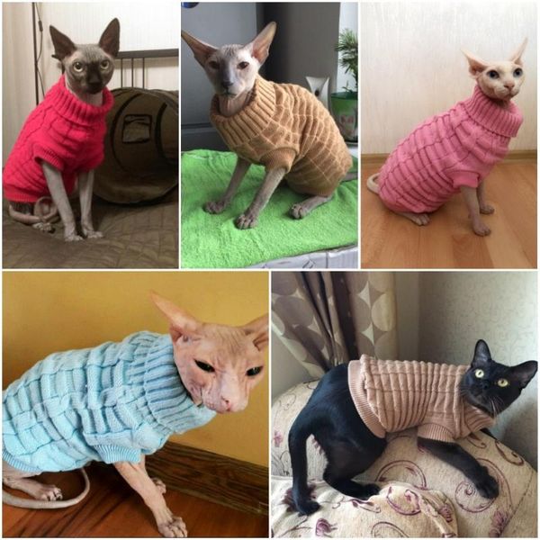 cat costumes sphinx sweater coat spagetti warm autumn winter dog pet jumper clothes for small pets
cat costumes sphinx sweater coat spagetti warm autumn winter dog pet jumper clothes for small pets