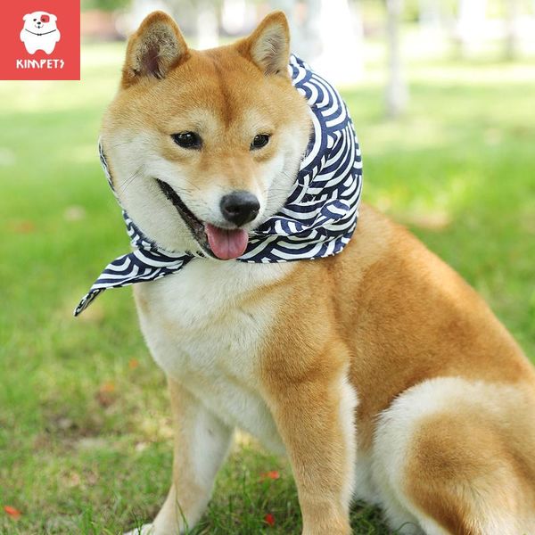 cat costumes kimpets 2021 japanese knotted baggage pet ran away from home pillow funny shape bag
cat costumes kimpets 2021 japanese knotted baggage pet ran away from home pillow funny shape bag