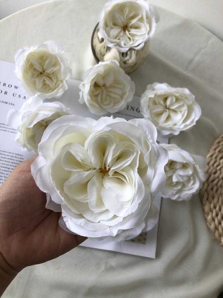 decorative flowers & wreaths 10pcs ivory artificial austin rose head silk english cabbage for wedding home decor
decorative flowers & wreaths 10pcs ivory artificial austin rose head silk english cabbage for wedding home decor