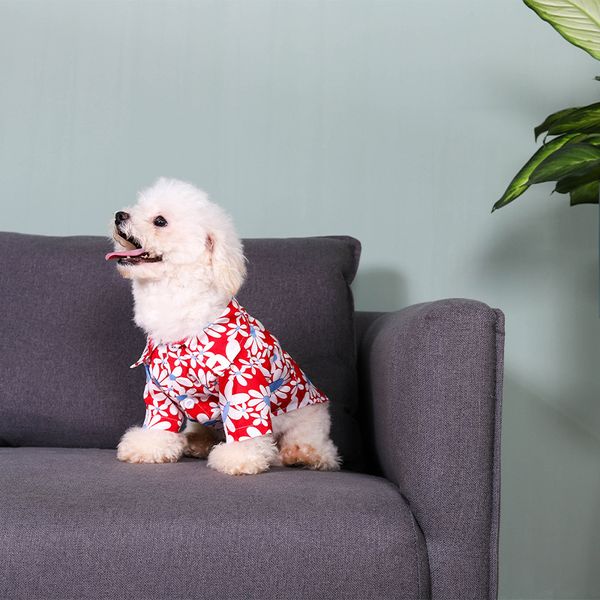 pet dog clothing cotton chrysanthemum shirt spring and summer net red ins small medium-sized teddy cat cloth
pet dog clothing cotton chrysanthemum shirt spring and summer net red ins small medium-sized teddy cat cloth