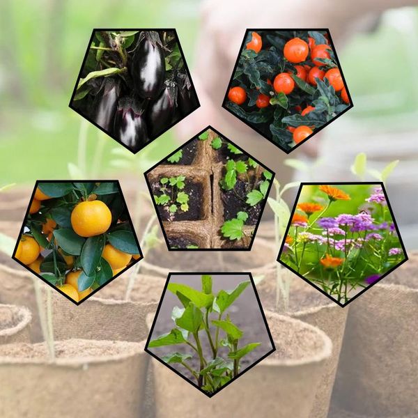 planters & pots seed starter trays environmental protection garden round peat plant seedling starters cups nursery tray planting
planters & pots seed starter trays environmental protection garden round peat plant seedling starters cups nursery tray planting