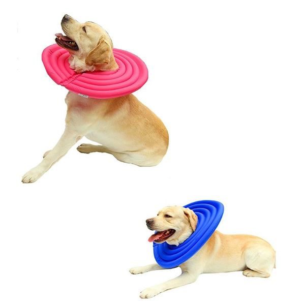 dog apparel doglemi protective recovery pet soft cone comfortable e-collar for dogs and cats water-resistant, blue xxl
dog apparel doglemi protective recovery pet soft cone comfortable e-collar for dogs and cats water-resistant, blue xxl