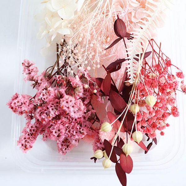 decorative flowers & wreaths portable 1 box attractive fine texture all preserved flower 5 colors dried decor eye-catching for gifts
decorative flowers & wreaths portable 1 box attractive fine texture all preserved flower 5 colors dried decor eye-catching for gifts