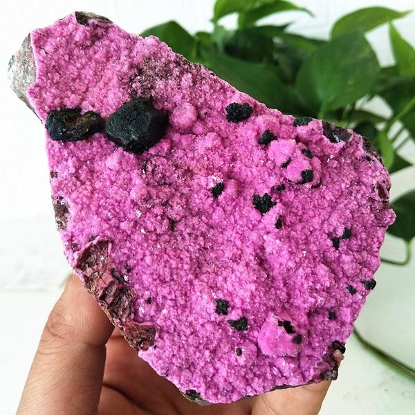 decorative objects & figurines natural stone cobaltocalcite pink crystals decorated to improve feng shui rare cobalto calcites chakras heali
decorative objects & figurines natural stone cobaltocalcite pink crystals decorated to improve feng shui rare cobalto calcites chakras heali