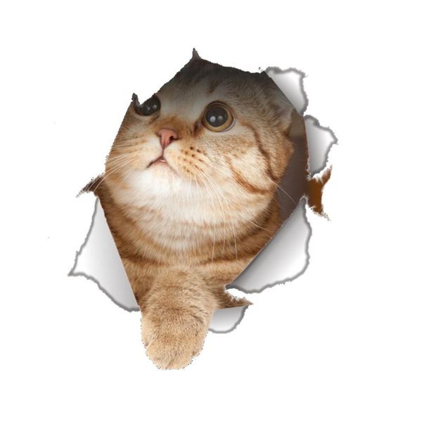 wallpapers cat toilet seat sticker bathroom wallpaper decal removable pvc wall stickers for home decoration (type-14109)
wallpapers cat toilet seat sticker bathroom wallpaper decal removable pvc wall stickers for home decoration (type-14109)