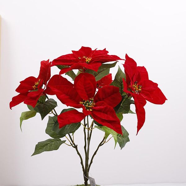 decorative flowers & wreaths decoration poinsettia fake head bouquet bushes simulation plants red flannelette flannel home décor wedding pro
decorative flowers & wreaths decoration poinsettia fake head bouquet bushes simulation plants red flannelette flannel home décor wedding pro
